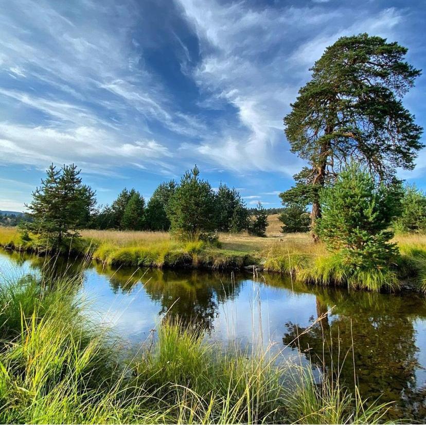 Vila Carna Zlatibor Bagian luar foto